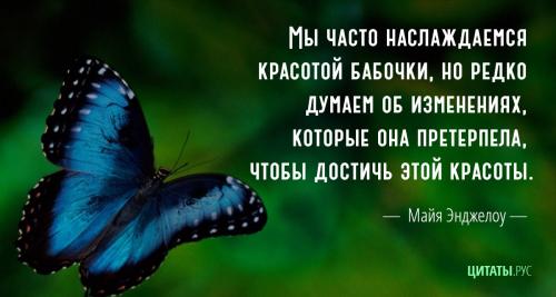 Цитата Майи Энджелоу. Бабочка.