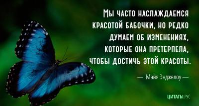 Цитата Майи Энджелоу. Бабочка.